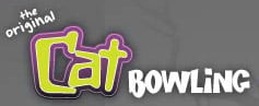 FREE Cat Bowling!